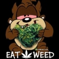 Bonoboweed