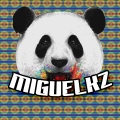 Miguelkz