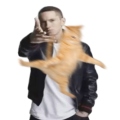 XMDX