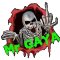 MrGAYA
