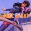Just a cat