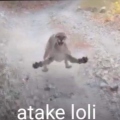 Atake-loliiaaaaaaa