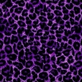 (Wika!)_09