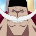 WhiteBeard1977