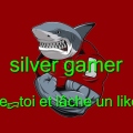 silvergamer0403