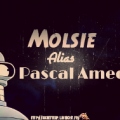 Molsie