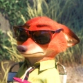 fox