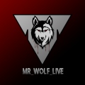 Mr_Wolf_Live