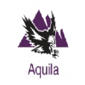 Aquila