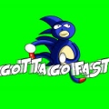 GottaGoFast