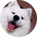 Ole