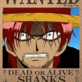 Shanks