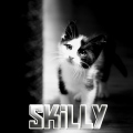 SkiLLy