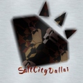 SaltCityDallas