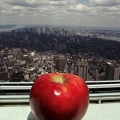 Manzana300