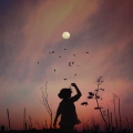 sleepysun