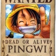 Pingwi