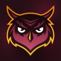 Owls