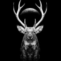 MoonDeer