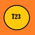 T23