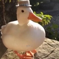 LilQuackk