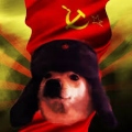 CommunistDoge