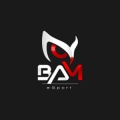 BAM_eSport_Off
