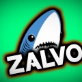 WhoIsZalvo