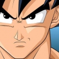 Gokussj4