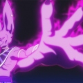 Beerus │ God Of Destruction