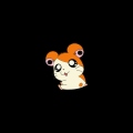 Hamtaro
