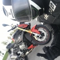 Vincent_51