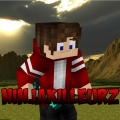 NinjaKilleurZ