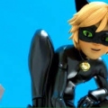 ChatNoir_040147