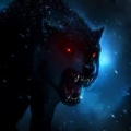 DarkWolfCZE