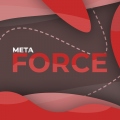 metaF0rce
