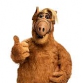 Alf67