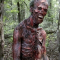 TheWalkingDead67