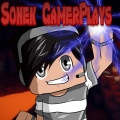 Sonek Gamer