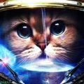 Space | Cat