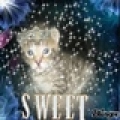 Sweetcat222