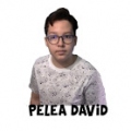 Pelea David