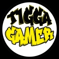 TIGGA_GaMeR