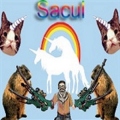 Sacul