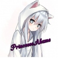 PrincesseAkame