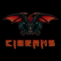 ciberns