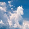 Skyhorse