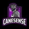 CANESENSE