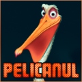 Pelicanul
