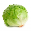 ReyLechuga